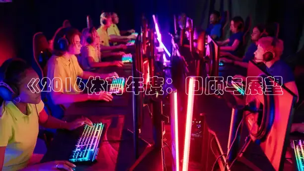 飞速体育app官方入口